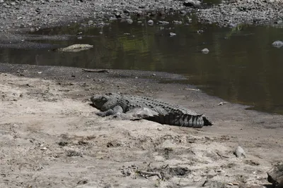 DSC_3493 (Large).JPG